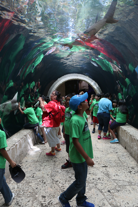 Dallas Aquarium with Summer Camp kids at Santa Clara