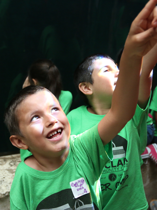 Dallas Aquarium with Summer Camp kids at Santa Clara