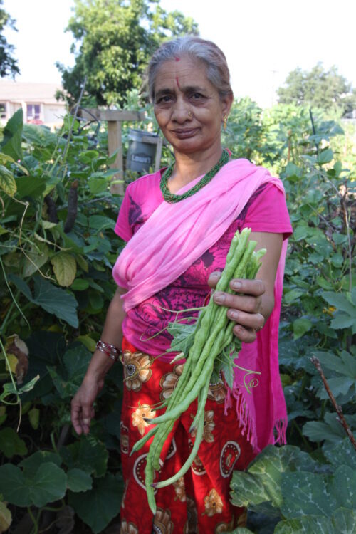 Refugee garden